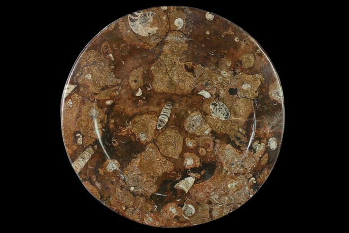 Fossil Orthoceras & Goniatite Round Plate - Stoneware #133557